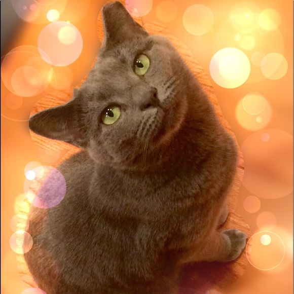 Shop our mom's closet! 😻😻😻 - Picture 8 of 16